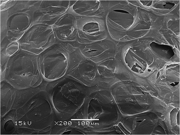 Struktura pojedyńczej kulczeki standardowego styropianu bez filtra UV ( zdjęcie mikroskop elektronowy) Fot. Termo Organika
