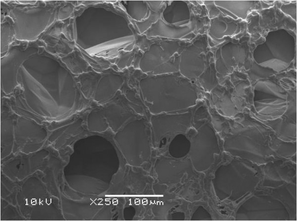 Struktura pojedyńczej kuleczki pomarańczowego styropianu z pigmentowym filtrem ochronnym ( zdjęcie mikroskop elektronowy) Fot. Termo Organika