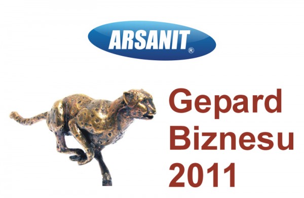 Gepard Biznesu 2011