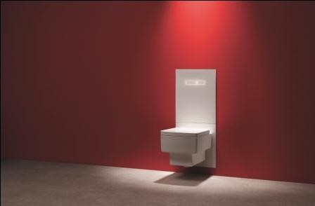 Terminal WC TECElux dzięki prostej estetyce doskonale dopasowuje sią do aranżacji niewielkie łazienki. Fot. www.tece.pl