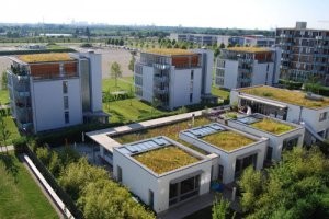 Dachy zielone – ekologiczne i racjonalne gospodarowanie wodą opadową