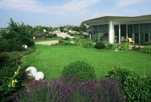 Prywatny ogród na dachu w systemie Optigrün - z trawnikiem, roślinami drzewiastymi i bylinami.