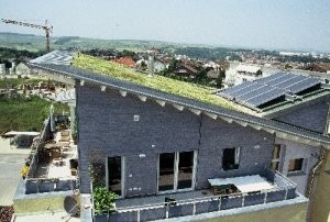 Dach zielony w systemie Optigrün, w połączeniu z pozyskiwaniem energii słonecznej.