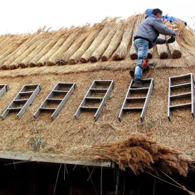 Dach z trzciny - naturalne pokrycie dachowe