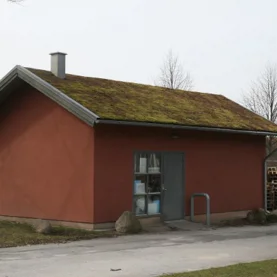 Dachy zielone - Ogród czy łąka