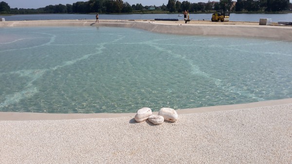 Największy na świecie basen typu Biodesingpools  w Polsce!