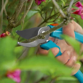 Jak sprawnie i bezpiecznie przygotować narzędzia do pracy w ogrodzie na wiosnę? 