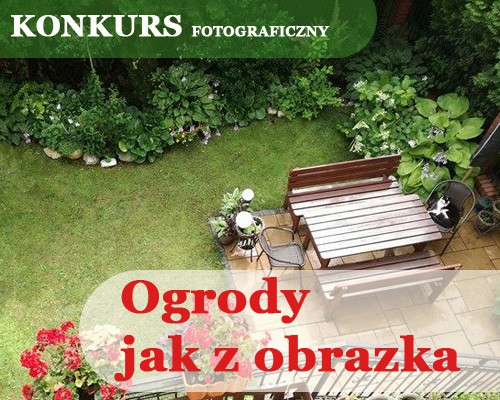 Fot. Obud.pl