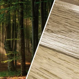 „Wood Look” – nowe kolory listew od firmy Effector