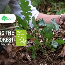 EZVIZ we współpracy z Treedom zazielenia planetę poprzez globalny projekt sadzenia drzew