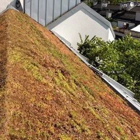 Dom przyjazny dla środowiska. Jak dach może wspierać w zrównoważonej eksploatacji budynku?