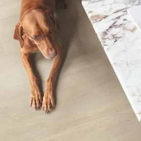 Soft minimalism podbija trendy wnętrzarskie. Sprawdź, jak wprowadzić go do swojego domu!