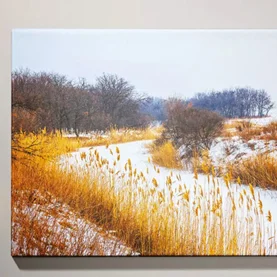 Dom z duszą – jak wykorzystać fotoobraz, by nadać wnętrzu indywidualny charakter?