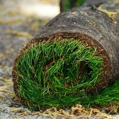 Trawa z rolki w architektonicznych projektach: dlaczego warto na nią postawić?