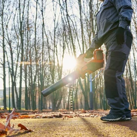 Jaka moc dmuchawy do liści będzie najlepsza? Wskazówki